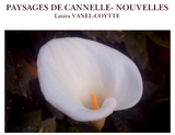 Le livre PAYSAGES DE CANNELLE- NOUVELLES