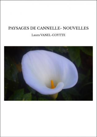 Le livre PAYSAGES DE CANNELLE- NOUVELLES