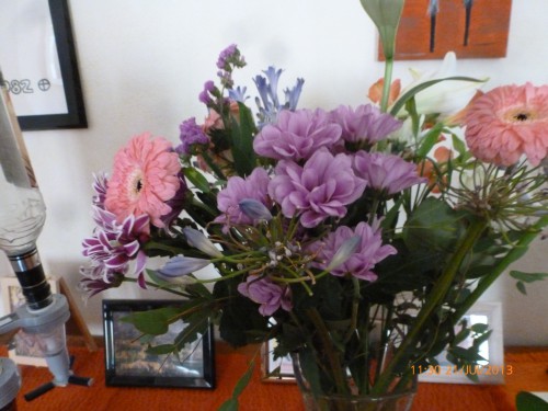 bouquet et balade du 21 juillet 2013 001.jpg