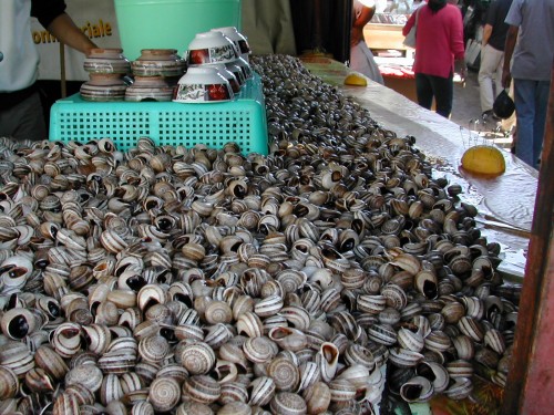 escargots marché casa.jpg