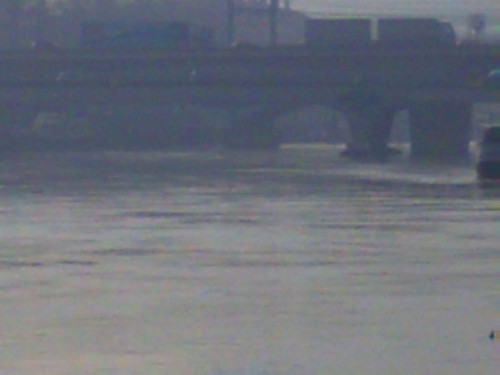 lyon 21 janvier 2009 003.jpg