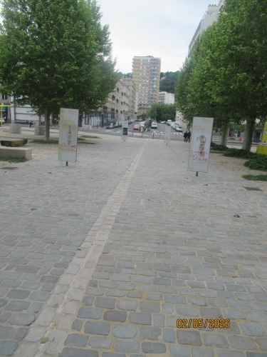 IMG_1648.JPG