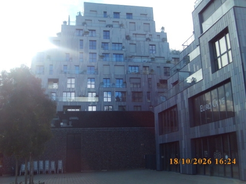 SUNP0231.JPG