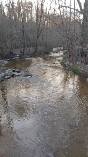 IMG-20260224-WA0000.jpeg