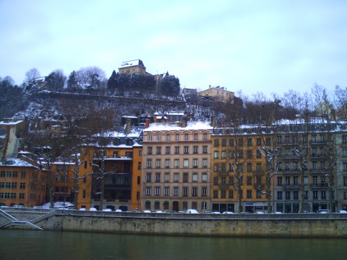 lyon 11 janvier 2010 003.jpg