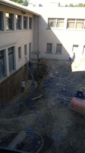 WP_20150604_001.jpg