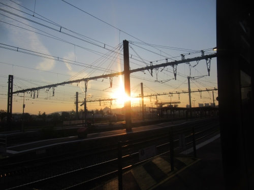 IMG_6528.JPG