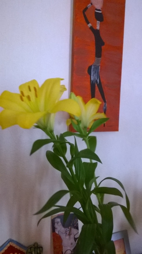 WP_20150605_005.jpg