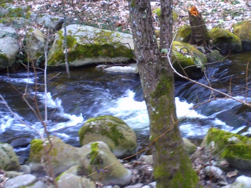 st romain d'ay 21 mars 2010 003.jpg