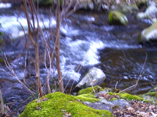 st romain d'ay 21 mars 2010 005.jpg