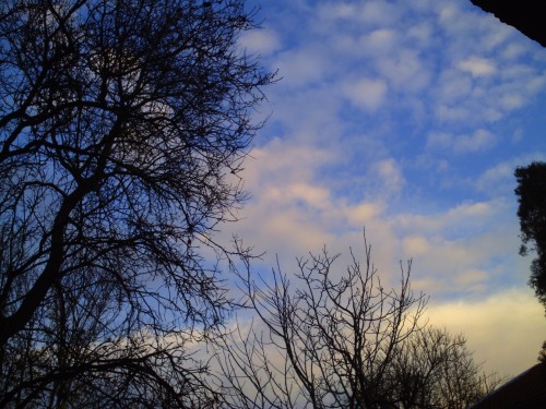 ciel 7 décembre 2009.jpg