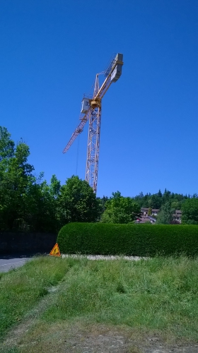 WP_20150603_027.jpg