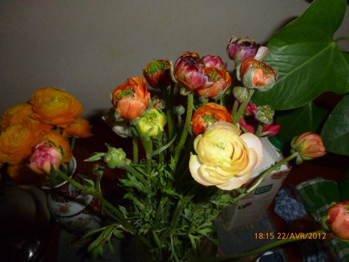 BOUQUET 22 AVRIL 2012 010.jpg