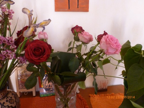 bouquets et train fin février 2014 001.JPG