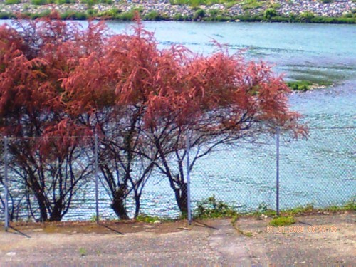 barrage avril 2009 013 hf.jpg