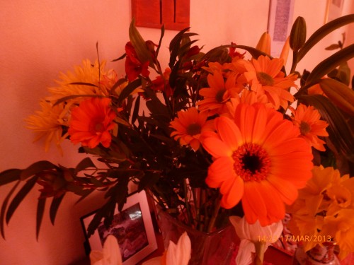 CDI bouquet 14 MARS 2013 002.jpg