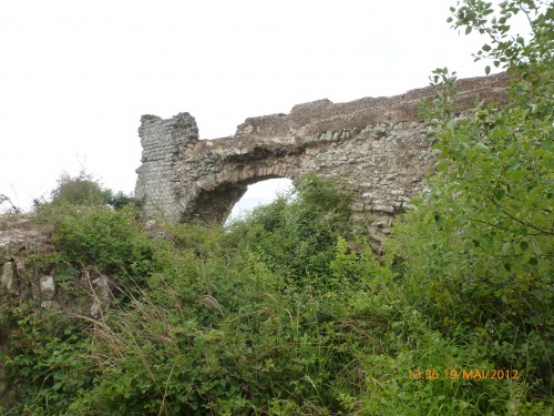 arles 19 mai 2012 043.jpg