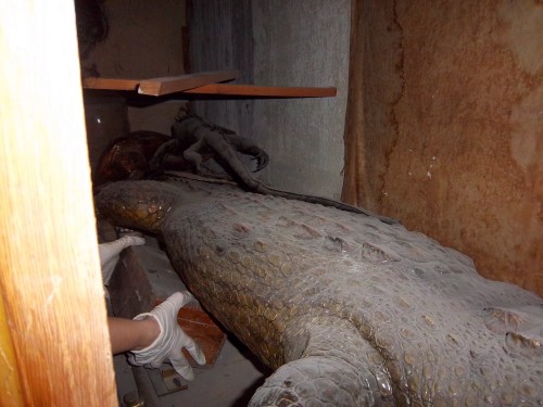 100_0311.JPG