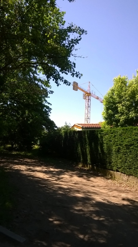 WP_20150603_026.jpg