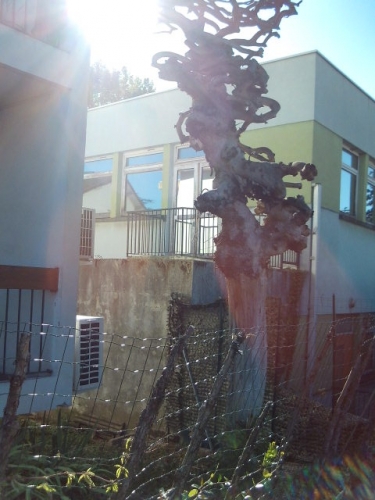 SUNP0007.JPG