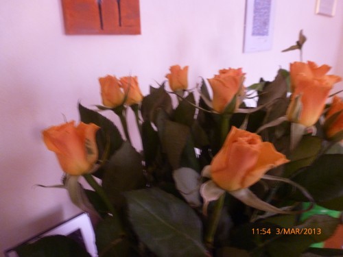 roses 3 mars 2013 001.jpg