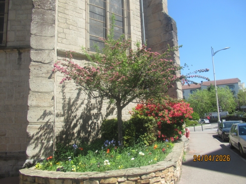 IMG_0871.JPG