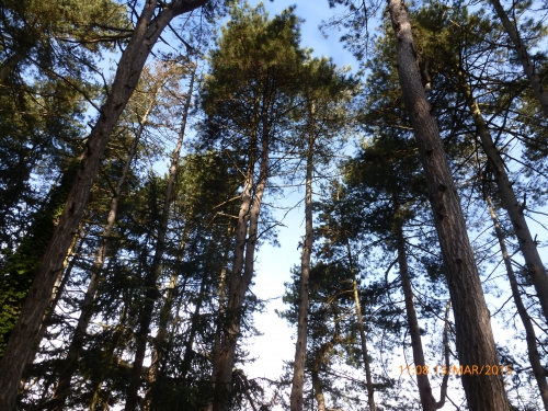 P1110084.JPG