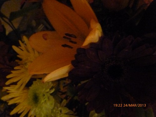 bouquets des 2 dimanche 17 et 24 mars 2013 006.jpg