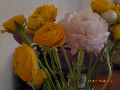 bouquet 15 avril 2012 008.jpg