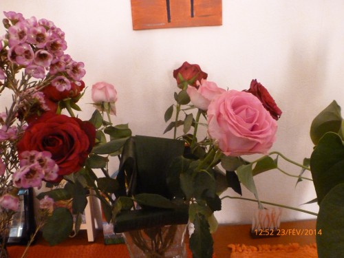 bouquets et train fin février 2014 007.JPG