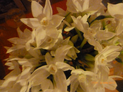 bouquet 6 janvier 2013 007.jpg