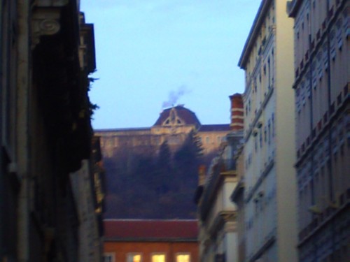 lyon 4 février 2010 016.jpg