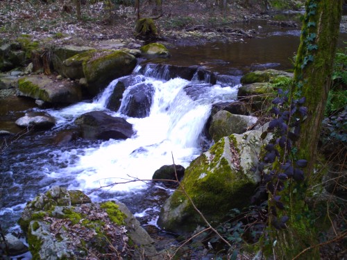 st romain d'ay 21 mars 2010 004.jpg