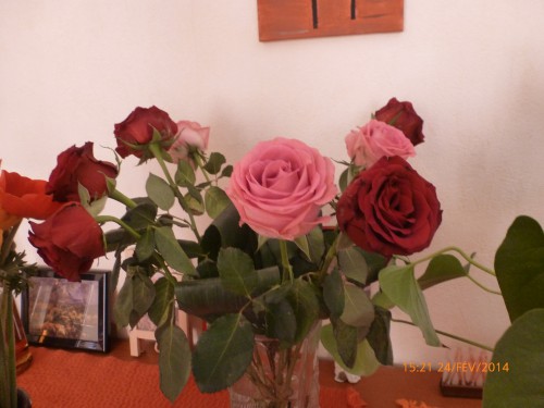 bouquets et train fin février 2014 008.JPG