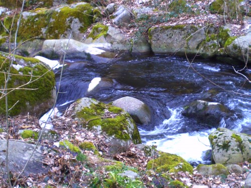 st romain d'ay 21 mars 2010 002.jpg