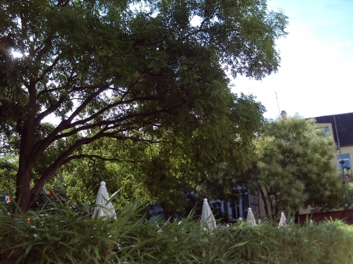 SUNP0014.JPG