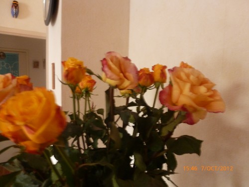 ste coytte et bouquet oct 2012 003.jpg