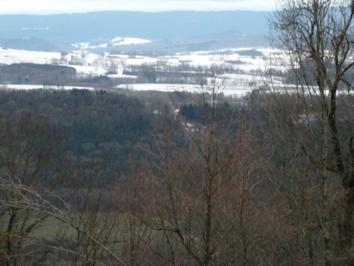 P1000221.JPG