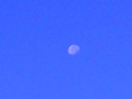 30 août 2010 007.jpg