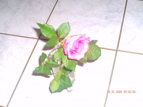 rose vase.jpg