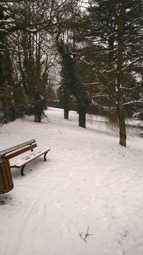 WP_20150205_009.jpg