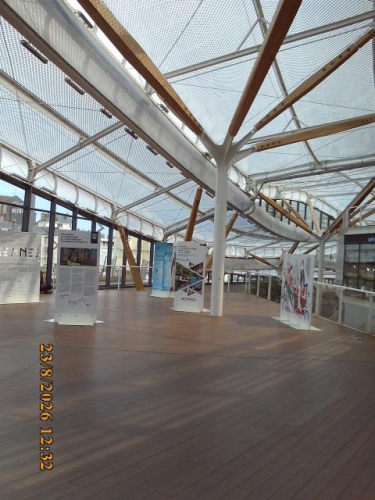 SUNP0034.JPG