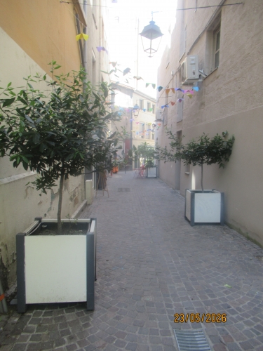 IMG_2580.JPG