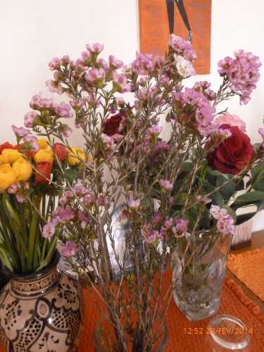 bouquets et train fin février 2014 005.JPG