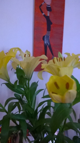 WP_20150605_003.jpg