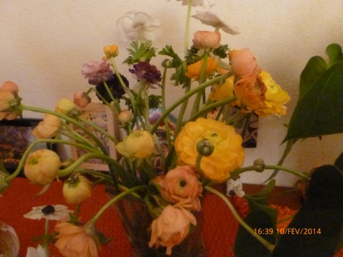 bouquet et train 9 février 1914 007.jpg