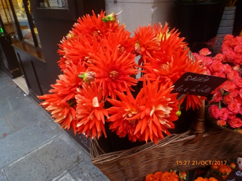 dahlias paris 21 oct 2017.JPG