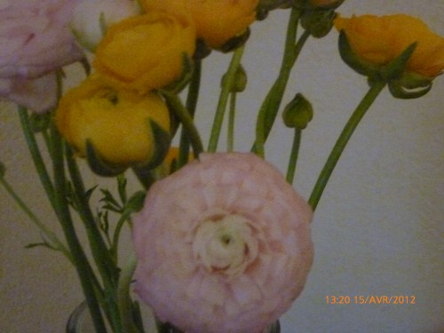 bouquet 15 avril 2012 009.jpg