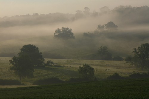 brume-gérardBerger.jpg