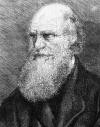 charles-darwin.jpg